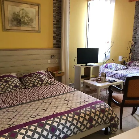 Domaine De L'ile - Et D'hotes Penzion Castelsarrasin