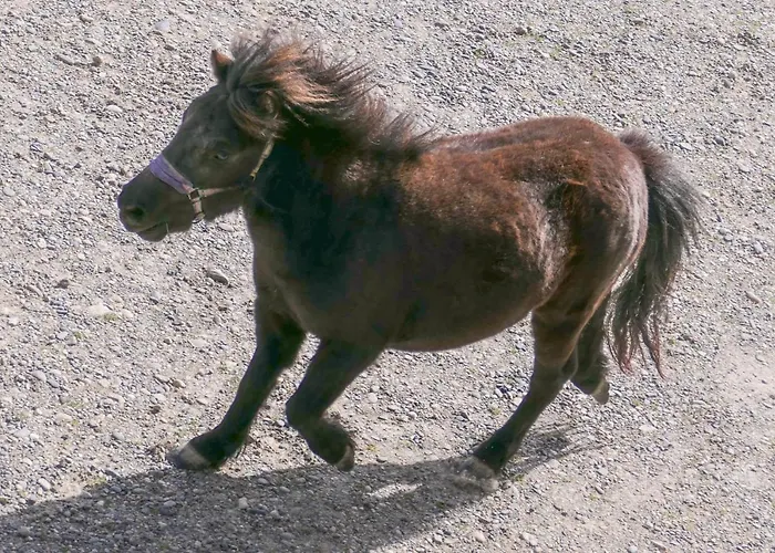 Domaine De L'ile - Et D'hotes Pensjonat Castelsarrasin