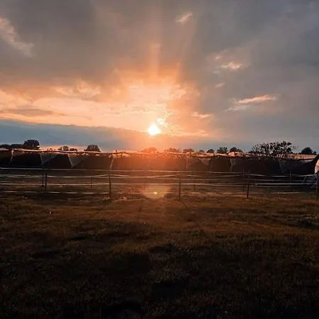 Domaine De L'ile - Et D'hotes