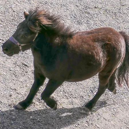 Domaine De L'ile - Et D'hotes Penzion Castelsarrasin