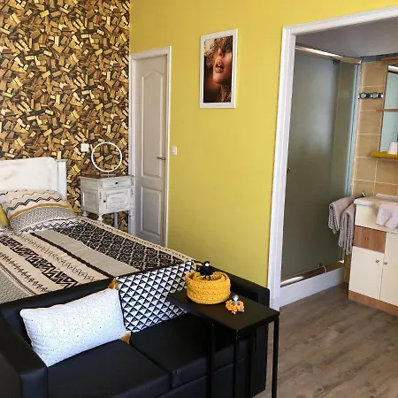 Domaine De L'ile - Et D'hotes 게스트하우스 카스넬사라생