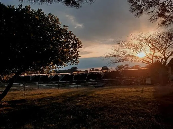 Domaine De L'ile - Et D'hotes 3*